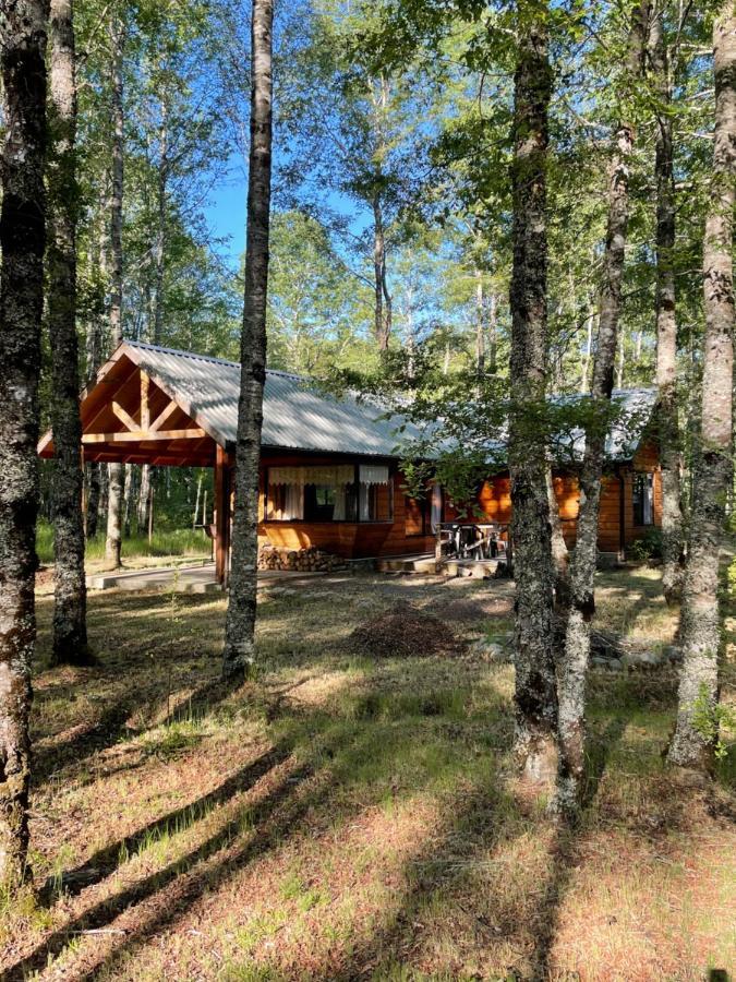 Lodge Pucoyan Pucón