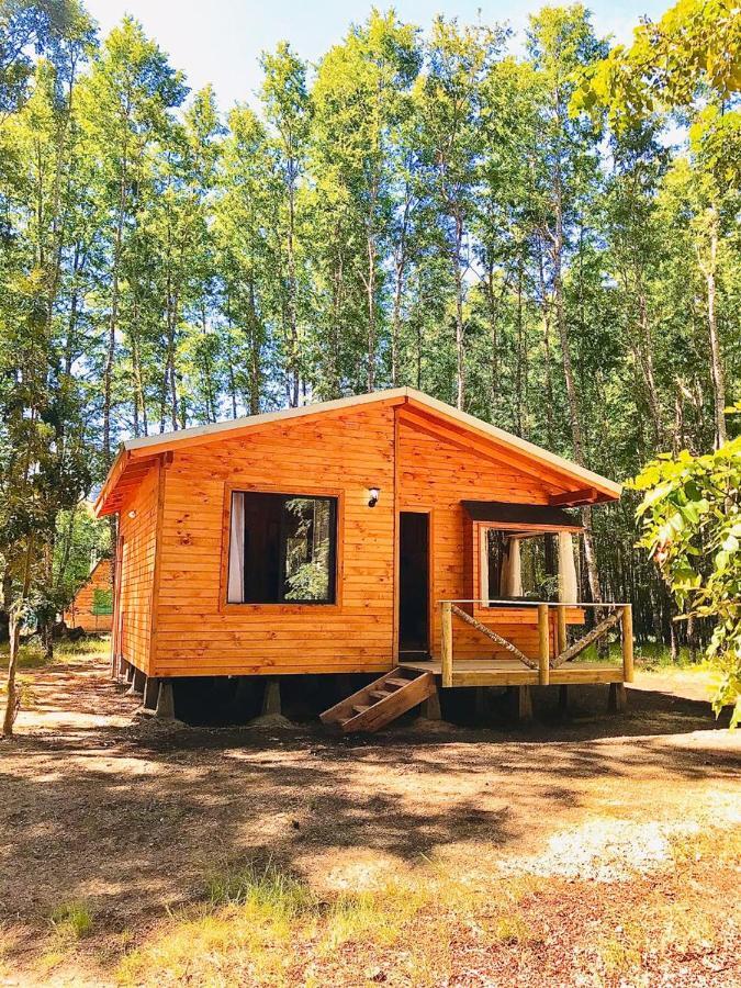 Lodge Pucoyan *